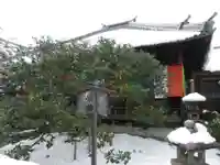 地蔵院(椿寺)(京都府)