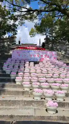 防府天満宮の{uncategorized: "未分類", other: "その他", undefined: "問題あり", building: "その他建物", grave: "お墓", sacred_gate: "鳥居", guardian: "狛犬", statue: "像", buddha: "仏像", history: "歴史", nature: "自然", garden: "庭園", animal: "動物", pagoda: "塔", temizu: "手水舎", mountain_gate: "山門・神門", sanctuary: "本殿・本堂", subordinate: "末社・摂社", art: "芸術", scenery: "景色", jizo: "地蔵", ema: "絵馬", goshuin: "御朱印", omikuji: "おみくじ", items: "授与品その他", amulet: "お守り", goshuincho: "御朱印帳", eats: "食事", festival: "お祭り", votive_dance: "神楽", shichigosan: "七五三参", wedding: "結婚式", experience: "体験その他", initially: "初詣", around: "周辺", anti_infection: "感染症対策"}