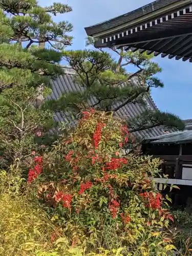 中宮寺(奈良県)