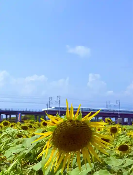 御嶽神社茅萱宮(岐阜県)