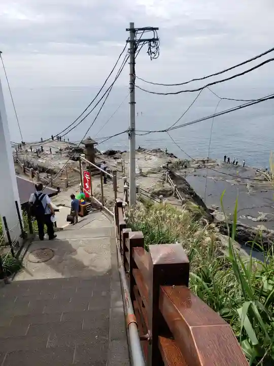 江島神社の自然