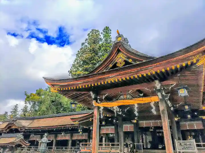 多賀大社の本殿・本堂