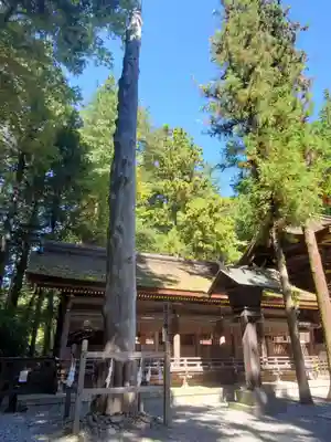 諏訪大社下社春宮(長野県)