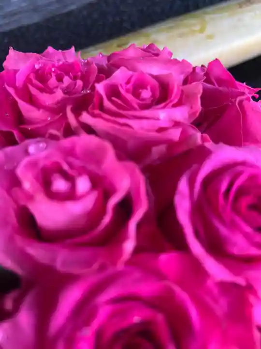 上尾御嶽神社の手水舎