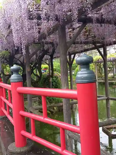 亀戸天神社の庭園