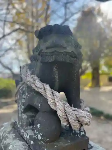 西中土神社の狛犬