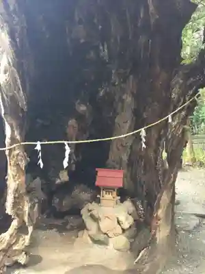 來宮神社(静岡県)