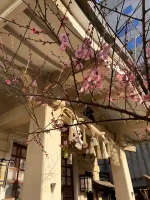 綱敷天神社の自然