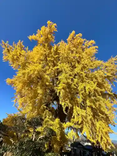 丹生酒殿神社(和歌山県)