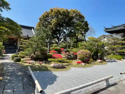 近松寺の庭園