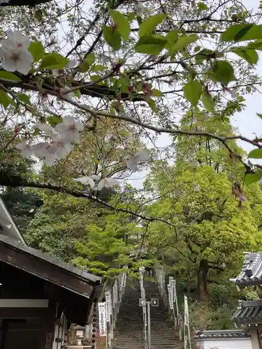 八事山 興正寺(愛知県)
