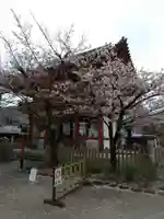 瀧泉寺(目黒不動尊)の山門・神門