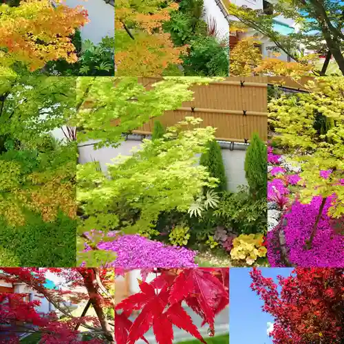 寿量山　速成寺の自然