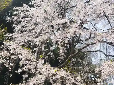 醍醐寺(京都府)