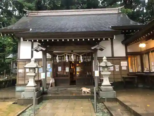 王子神社の本殿・本堂