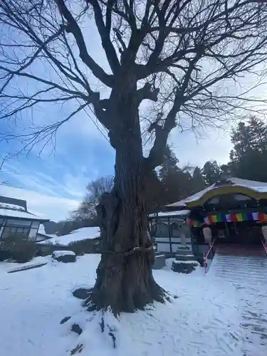 成田山安養寺の自然
