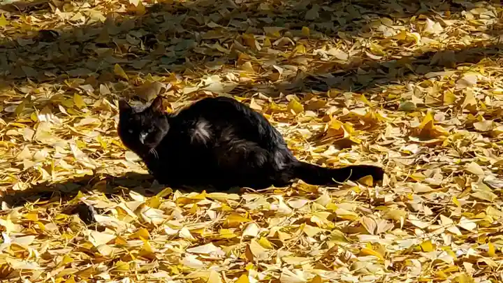 奥澤神社の動物