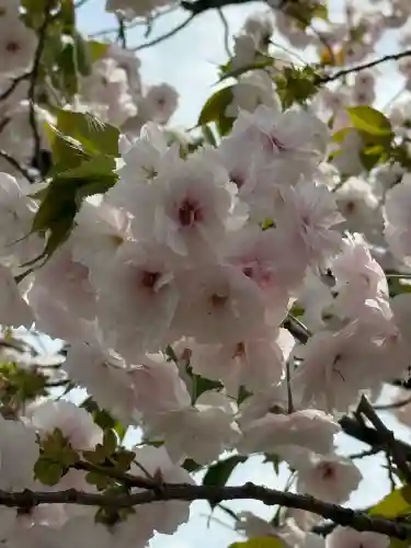 芝東照宮の{uncategorized: "未分類", other: "その他", undefined: "問題あり", building: "その他建物", grave: "お墓", sacred_gate: "鳥居", guardian: "狛犬", statue: "像", buddha: "仏像", history: "歴史", nature: "自然", garden: "庭園", animal: "動物", pagoda: "塔", temizu: "手水舎", mountain_gate: "山門・神門", sanctuary: "本殿・本堂", subordinate: "末社・摂社", art: "芸術", scenery: "景色", jizo: "地蔵", ema: "絵馬", goshuin: "御朱印", omikuji: "おみくじ", items: "授与品その他", amulet: "お守り", goshuincho: "御朱印帳", eats: "食事", festival: "お祭り", votive_dance: "神楽", shichigosan: "七五三参", wedding: "結婚式", experience: "体験その他", initially: "初詣", around: "周辺", anti_infection: "感染症対策"}