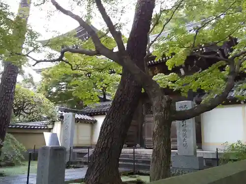 道場寺(東京都)