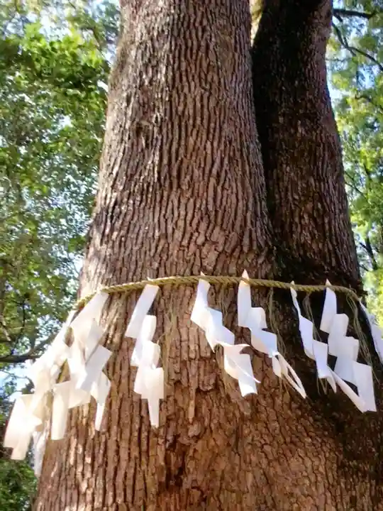 代々木八幡宮(東京都)