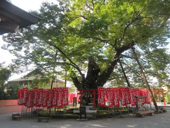 秩父今宮神社(埼玉県)