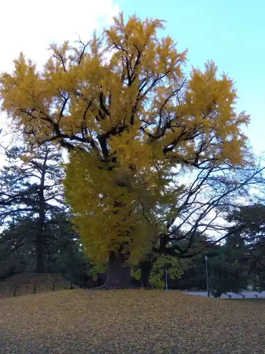 白雲神社(京都府)