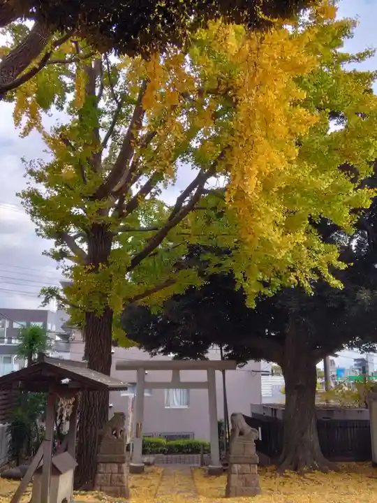 馬込天祖神社(東京都)