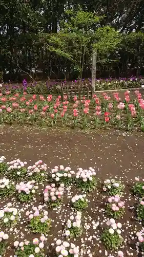 江島神社の庭園