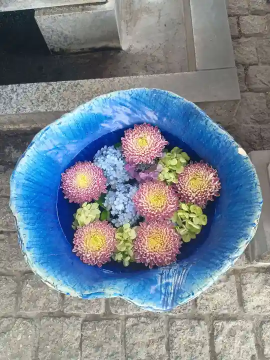 川越八幡宮(埼玉県)