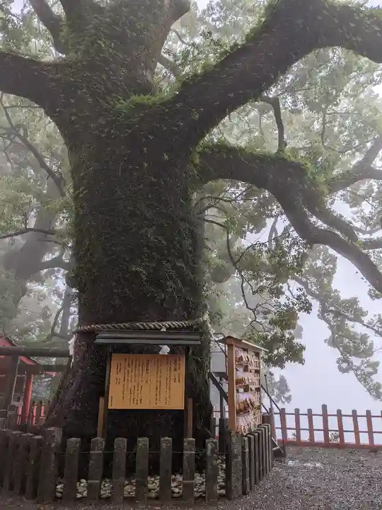 熊野那智大社(和歌山県)