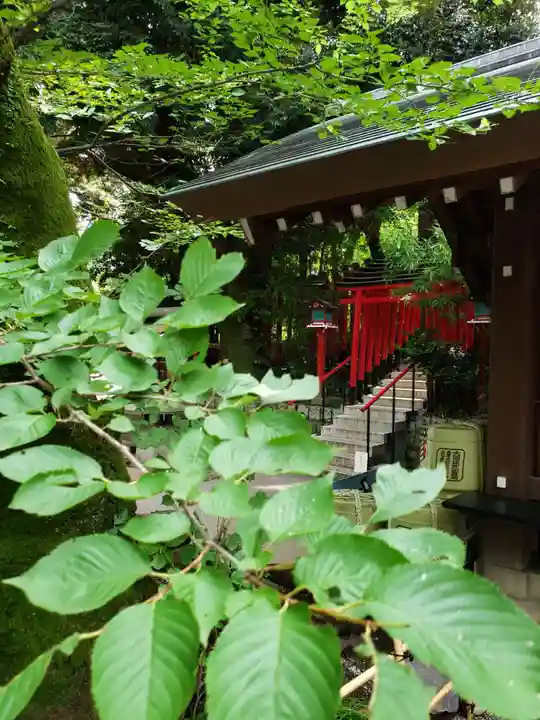 乃木神社(東京都)