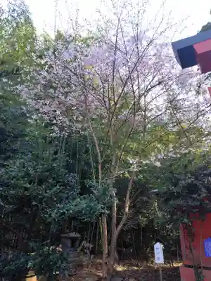 神炊館神社 ⁂奥州須賀川総鎮守⁂(福島県)