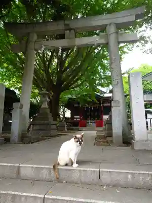 小金八坂神社の{uncategorized: "未分類", other: "その他", undefined: "問題あり", building: "その他建物", grave: "お墓", sacred_gate: "鳥居", guardian: "狛犬", statue: "像", buddha: "仏像", history: "歴史", nature: "自然", garden: "庭園", animal: "動物", pagoda: "塔", temizu: "手水舎", mountain_gate: "山門・神門", sanctuary: "本殿・本堂", subordinate: "末社・摂社", art: "芸術", scenery: "景色", jizo: "地蔵", ema: "絵馬", goshuin: "御朱印", omikuji: "おみくじ", items: "授与品その他", amulet: "お守り", goshuincho: "御朱印帳", eats: "食事", festival: "お祭り", votive_dance: "神楽", shichigosan: "七五三参", wedding: "結婚式", experience: "体験その他", initially: "初詣", around: "周辺", anti_infection: "感染症対策"}