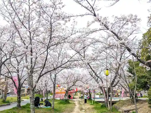 星田妙見宮の自然