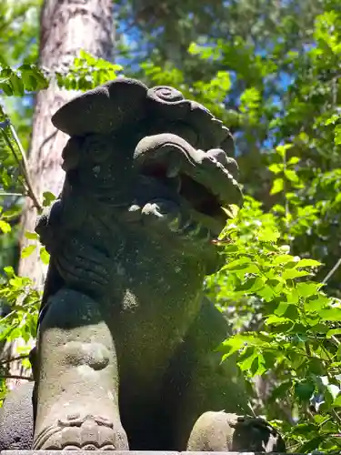 矢彦神社(長野県)