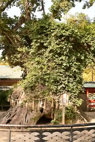 筥崎宮(福岡県)