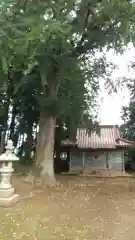 鹿島神社(茨城県)