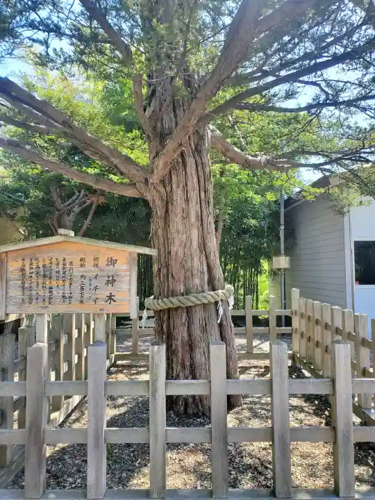 湯倉神社の{uncategorized: "未分類", other: "その他", undefined: "問題あり", building: "その他建物", grave: "お墓", sacred_gate: "鳥居", guardian: "狛犬", statue: "像", buddha: "仏像", history: "歴史", nature: "自然", garden: "庭園", animal: "動物", pagoda: "塔", temizu: "手水舎", mountain_gate: "山門・神門", sanctuary: "本殿・本堂", subordinate: "末社・摂社", art: "芸術", scenery: "景色", jizo: "地蔵", ema: "絵馬", goshuin: "御朱印", omikuji: "おみくじ", items: "授与品その他", amulet: "お守り", goshuincho: "御朱印帳", eats: "食事", festival: "お祭り", votive_dance: "神楽", shichigosan: "七五三参", wedding: "結婚式", experience: "体験その他", initially: "初詣", around: "周辺", anti_infection: "感染症対策"}