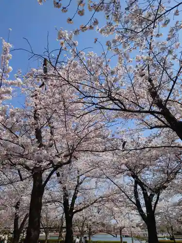 開成山大神宮(福島県)