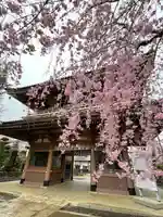 東勝寺宗吾霊堂の山門・神門