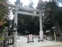 白山比咩神社の鳥居
