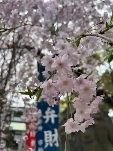 生島神社の{uncategorized: "未分類", other: "その他", undefined: "問題あり", building: "その他建物", grave: "お墓", sacred_gate: "鳥居", guardian: "狛犬", statue: "像", buddha: "仏像", history: "歴史", nature: "自然", garden: "庭園", animal: "動物", pagoda: "塔", temizu: "手水舎", mountain_gate: "山門・神門", sanctuary: "本殿・本堂", subordinate: "末社・摂社", art: "芸術", scenery: "景色", jizo: "地蔵", ema: "絵馬", goshuin: "御朱印", omikuji: "おみくじ", items: "授与品その他", amulet: "お守り", goshuincho: "御朱印帳", eats: "食事", festival: "お祭り", votive_dance: "神楽", shichigosan: "七五三参", wedding: "結婚式", experience: "体験その他", initially: "初詣", around: "周辺", anti_infection: "感染症対策"}