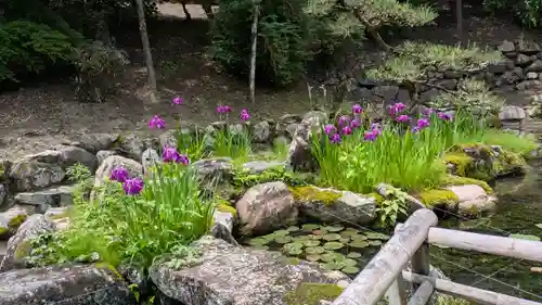 長谷寺(奈良県)