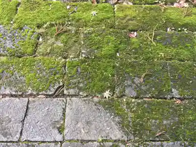 巣守神社(新潟県)