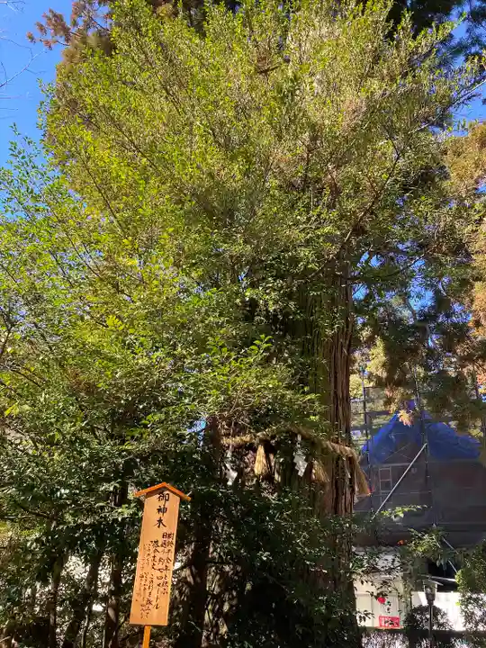 香取神宮(千葉県)