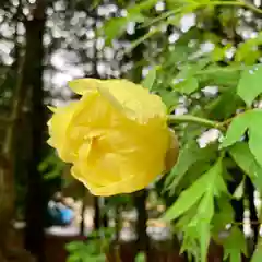 滑川神社 - 仕事と子どもの守り神の自然