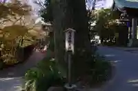 薬王院福徳弁財天洞のその他建物