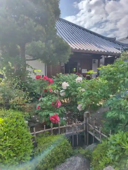 石光寺(奈良県)