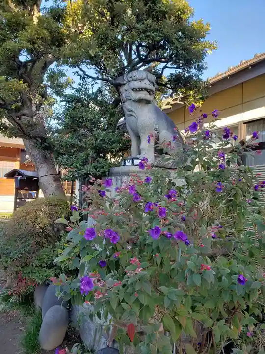 高砂天祖神社の狛犬