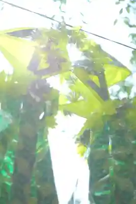 星田妙見宮(大阪府)